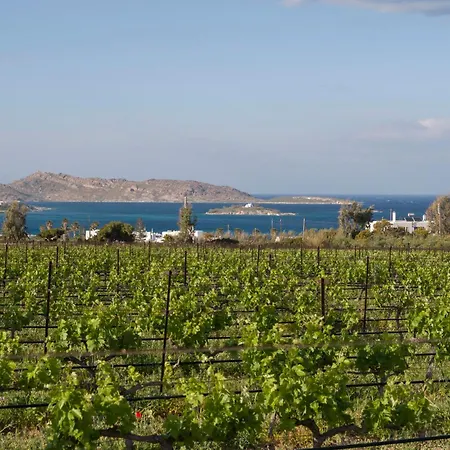 Paros Vivienda * Naoussa